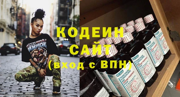 сатива Няндома