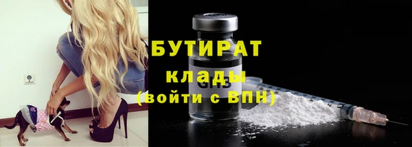 сатива Няндома
