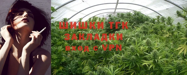 сатива Няндома