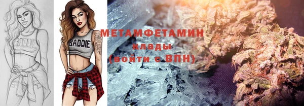 сатива Няндома