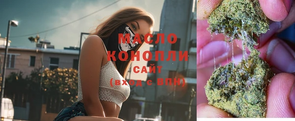 сатива Няндома