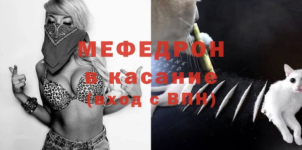 сатива Няндома