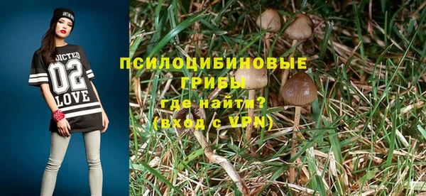 сатива Няндома