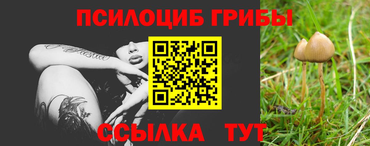 Галлюциногенные грибы Magic Shrooms Рассказово